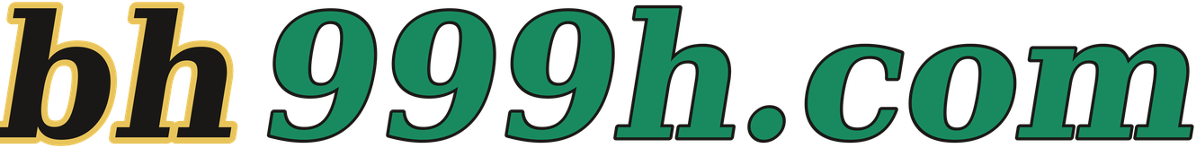 bh999h.com logo